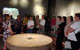 IMG_20250811_083257