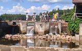 IMG_20250811_083320