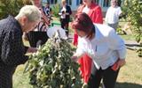 IMG_20260817_081857